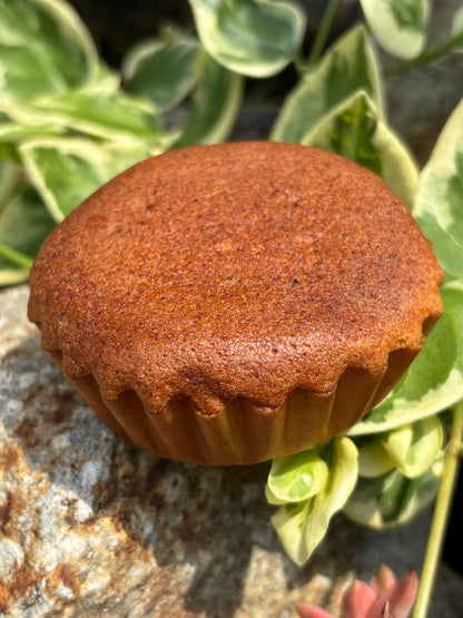 【送料無料】伊勢洋菓子倶楽部